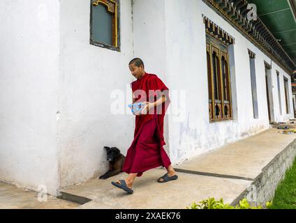 Bhutanischer Mönch, der Plastikflaschen in Nyenzer Lhakhang, Thedtsho Gewog, Wangdue Phodrang, Bhutan bringt Stockfoto