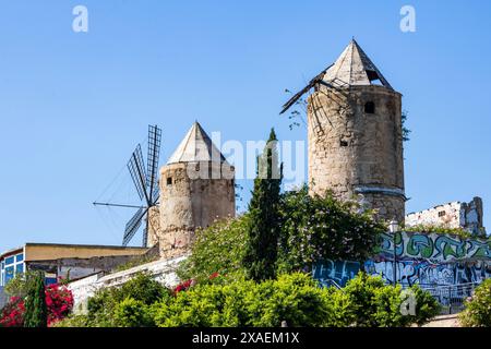 Historische Windmühlen im Viertel Barrio es Jonquet in Palma, Palma de Mallorca, Mallorca, Mallorca, Balearen, Balearen, Spanien, Europa Stockfoto