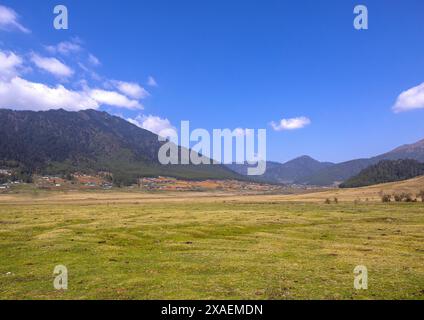 Wiese zwischen den Bergen, Wangdue Phodrang, Phobjikha Valley, Bhutan Stockfoto