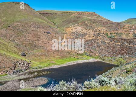 Der Hole in the Wall Erdrutsch ereignete sich 1984 und bedeckte einen Teil des Powder River bei Richland in Oregon, USA Stockfoto