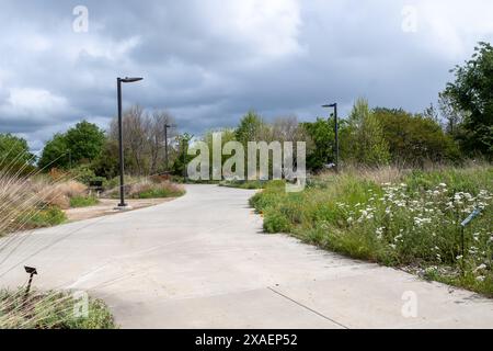 UC Davis Arboretum Garden Path, an einem teilweise bewölkten Tag im Frühjahr mit geschlossenen kalifornischen Mohnblumen Stockfoto