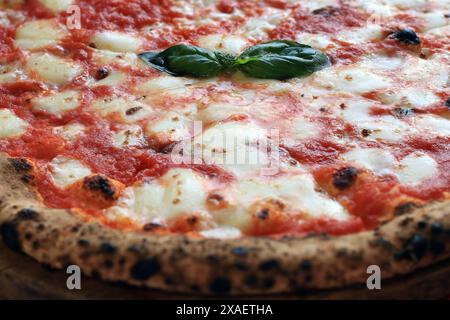 Nahaufnahme einer köstlichen margherita-Pizza mit Basilikumblättern. Stockfoto