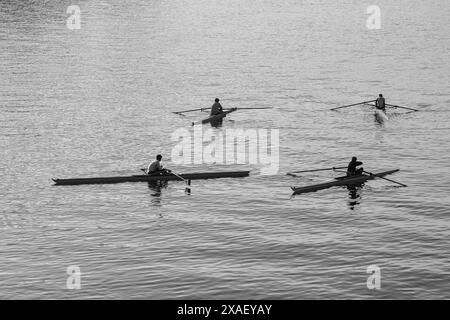 Blick auf eine Gruppe von vier Rudern, die noch immer auf dem Po, dem längsten Fluss Italiens, der Turin, Piemont, Italien durchquert Stockfoto