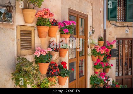 Wunderschön dekorierte Wand mit bunten Blumentöpfen an einer alten Mauer in Valldemossa, Mallorca, horizontale Aufnahme an sonnigem Tag, Mallorca Stockfoto