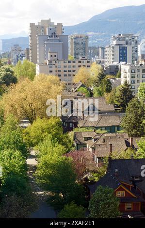 Restaurierte, denkmalgeschützte Häuser und Baumkronen aus urbanem Wald von oben im West End-Viertel von Vancouver, BC, Kanada Stockfoto