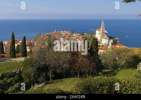 Panoramafoto von roten Ziegeldächern der alten slowenischen Stadt Piran mit Adria am Horizont unter blauem Himmel am sonnigen Sommertag Stockfoto