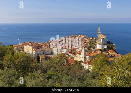 Panoramafoto von roten Ziegeldächern der alten slowenischen Stadt Piran mit Adria am Horizont unter blauem Himmel am sonnigen Sommertag Stockfoto