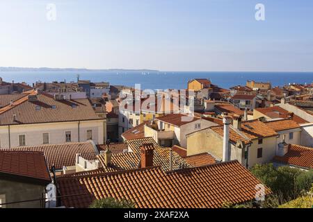 Panoramafoto von roten Ziegeldächern der alten slowenischen Stadt Piran mit Adria am Horizont unter blauem Himmel am sonnigen Sommertag Stockfoto