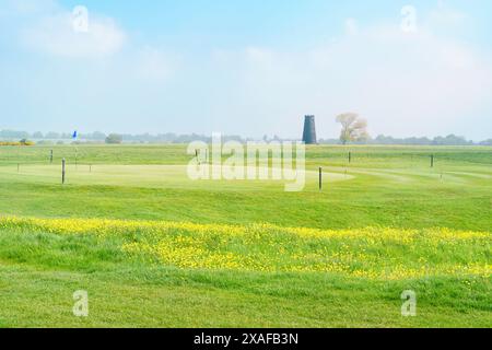 Westwood öffentlicher Park mit Golfergrün und wilden Blumen und Butterblumen, die im Frühjahr unter dem wolkenblauen Himmel blühen. Beverley, Großbritannien. Stockfoto