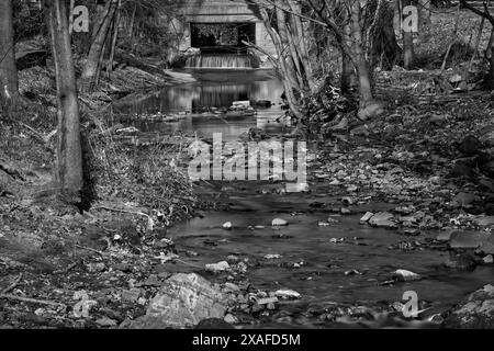 Eine lange schwarz-weiße Exposition eines kleinen Bachs, Wolf Creek, mit kleinen Wasserfällen. Stockfoto