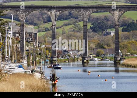 Ein Eisenbahnviadukt aus dem 19. Jahrhundert, das ein Flusstal über den Tamar bei Calstock bei Gunnislake, Cornwall, Großbritannien überquert. Stockfoto