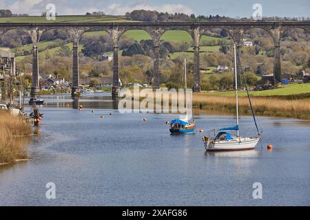 Ein Eisenbahnviadukt aus dem 19. Jahrhundert, das ein Flusstal über den Tamar bei Calstock bei Gunnislake, Cornwall, Großbritannien überquert. Stockfoto