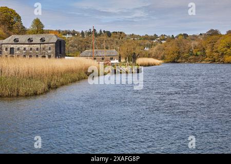 Ein Fluss, der von Schilf und Wäldern gesäumt ist; der Tamar, die Grenze zwischen Devon und Cornwall, am Cotehele Quay, nahe Gunnislake, Cornwall, Großbritannien. Stockfoto