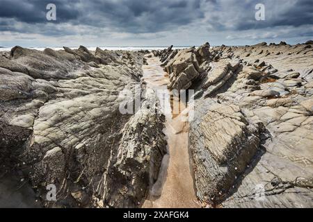 Eine felsige Küste bei Ebbe, an der Atlantikküste, bei Welcombe Mouth, Hartland, Nord-Devon, Großbritannien. Stockfoto