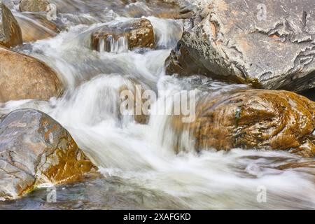 Wasser fließt über und um Felsen in einem Bach, in Welcombe Mouth, Hartland, Nord-Devon, Großbritannien. Stockfoto