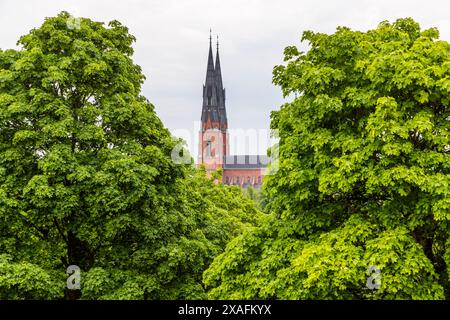 Türme der Kathedrale von Uppsala. Die 1435 geweihte gotische Kathedrale ist mit ihrem 107 m langen, 45 m breiten und 27 m hohen Innenraum die größte Kirche Nordeuropas. Hier befinden sich die Gräber des Königs Gustav Vasa (1496–1560) und des Botanikers und Arztes Carl von Linné. Drottning Christinas väg, Uppsala, Schweden Stockfoto