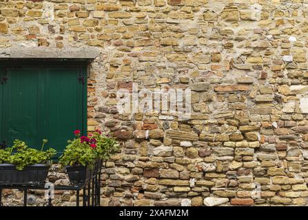 Foto einer alten gelben und braunen Steinmauer mit geschlossenen grünen Fensterläden und roten Blumen Stockfoto