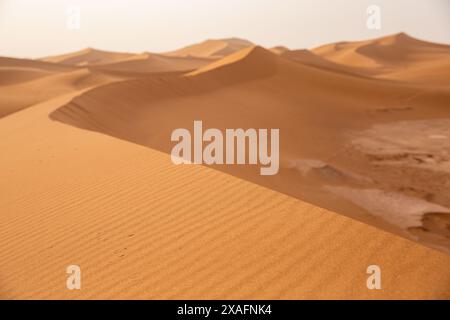 Sanddünen erstrecken sich so weit das Auge reicht von Erg Chigaga in der Nähe von M'Hamid, Marokko am westlichen Rand der Sahara Stockfoto