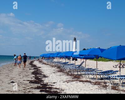 Miami, Florida, USA - 7. April 2024: Sonnenschirme und Liegestühle am Strand des Bill Baggs Cape Florida State Park. Nur für redaktionelle Zwecke. Stockfoto