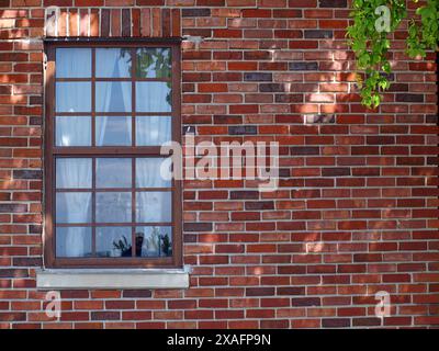 Fenster mit Vorhängen in alten roten Ziegelwänden. Stockfoto