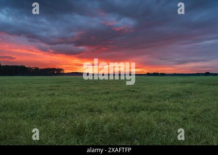 Ein atemberaubender feuriger Sonnenuntergang färbt den Himmel in leuchtenden Orange- und Rottönen mit einer dramatischen Wolkenlandschaft über einer riesigen grünen Wiese in den Niederlanden Stockfoto