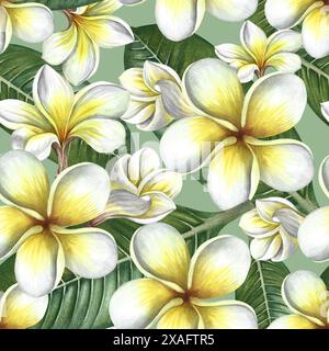 Nahtloses Muster mit Plumeria- und Frangipani-Blüten mit Blättern. Eine handgezeichnete Aquarellillustration. Auf grünem Hintergrund. Für Textilien, Tapeten Stockfoto