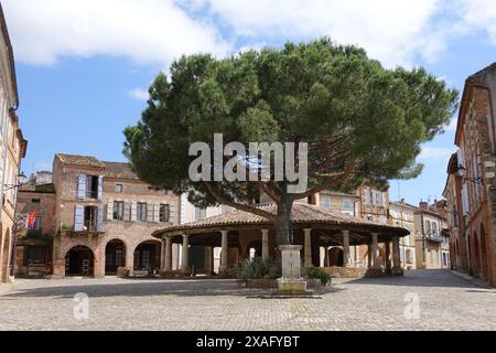 Die Getreidemarkthalle aus dem 19. Jahrhundert in Auvillar, Tarn-et-Garonne, Occitanie, Frankreich Stockfoto