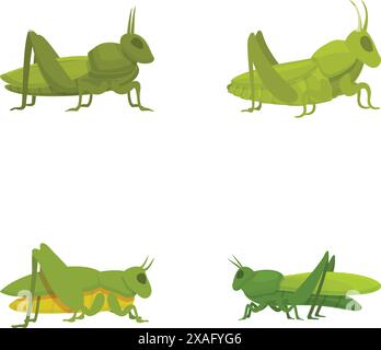 Sammlung von vier Vektorillustrationen von grünen Zeichentrickgrasschrecken isoliert auf weißem Hintergrund Stock Vektor