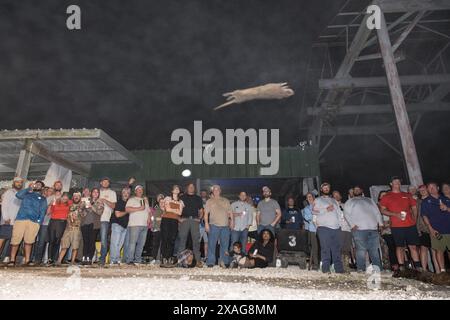 Der Teilnehmer schleudert beim jährlichen Nutria Rodeo in Louisiana einen toten Nutria Werf beim Wettbewerb „Nutria Werft“, bei dem die Jagd auf das invasive Nagetier gefördert wird. Stockfoto