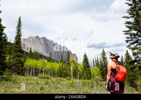 Ein paar Wanderungen in den Ausläufern der Rocky Mountains in der Nähe des Mount Yamnuska, Kananaskis, Alberta, mit ihrer gemischten Rasse Husky, dem Deutschen Schäferhund Stockfoto