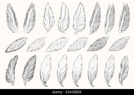 Gezogene Flügelfedern Stock Vektor