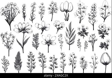 Eine Sammlung von einzelnen gezeichneten Blumen verschiedener Art Stock Vektor