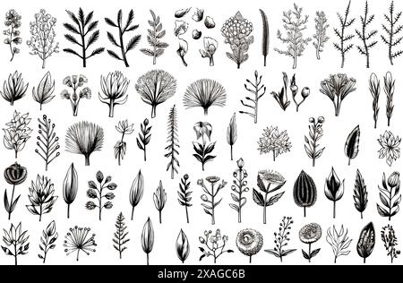 Gezogenes Set von Gemüseelementen, Karotten, Salat, Tomaten, Zwiebeln, Salat, Chili. Comic Doodle Sketch Stil. Gemüseelement mit digitaler Bürste-pe gezogen Stock Vektor