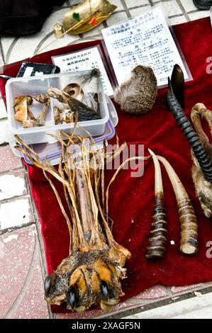 Illegaler Handel mit tierischen Teilen in China. Tigerpfote und andere Tigerteile sowie andere gefährdete Arten werden in ganz china verkauft. Stockfoto