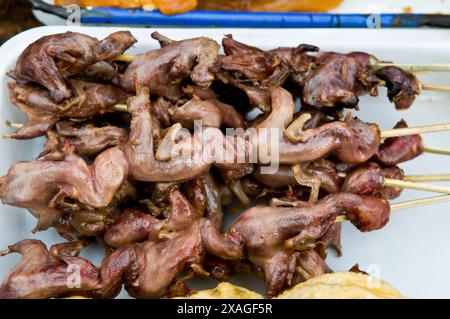 Baby Chicks on Spieß ist ein beliebtes Street Food in China. Stockfoto