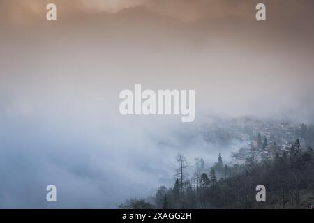 Panoramabild des dichten Nebels, der die Reisterrassen in Duoyishu, China, entdeckt. Kopierbereich für Text Stockfoto