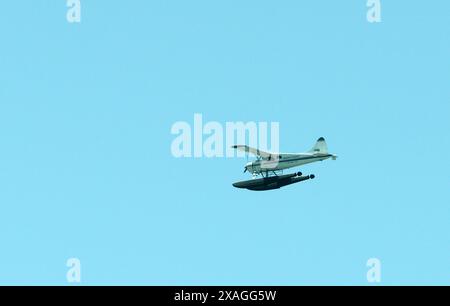 Ein Wasserflugzeug in der Luft. Stockfoto