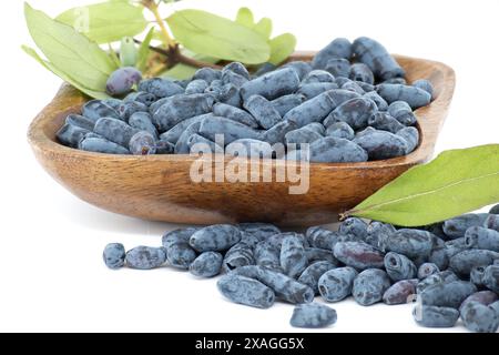 Geißblatt-Beeren und Zweig mit Blättern und Beeren isoliert auf weißem Hintergrund Stockfoto