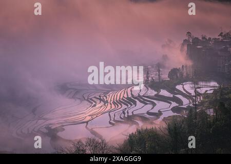 Sonnenaufgang über Reisterrassen von YuanYang in Yunnan, China, eines der jüngsten UNESCO-Welterbestätten Stockfoto