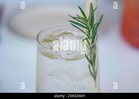 Erfrischendes Getränk mit Eis und Rosmarin Stockfoto