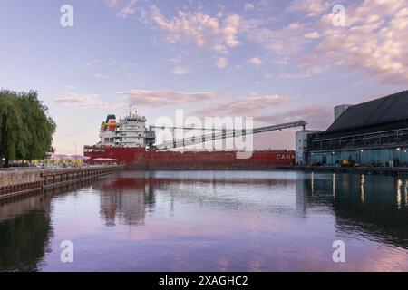 „MV Thunder Bay“, ein selbstentladender laker der Trillium-Klasse, wird im Lake Ontario neben der Zuckerverarbeitungsanlage Redpath am Ufer von Toronto gesehen. Stockfoto