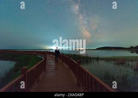 Peking, China. Juni 2024. Dieses Foto vom 6. Juni 2024 zeigt den Fujin National Wetland Park in Fujin City, nordöstlich der Provinz Heilongjiang. Quelle: Qu Yubao/Xinhua/Alamy Live News Stockfoto