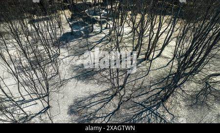 Verbrannte Überreste: Post-Wildfire-Landschaft in Biobio Stockfoto