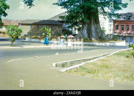 Cotton Tree Kreisverkehr, berühmter Kapokbaum, Ceiba Pentandra, Stadtzentrum von Freetown, Sierra Leone, Westafrika 1963 Stockfoto