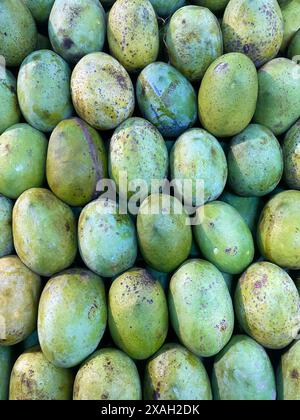 Frische reife Mango zum Verkauf. Dieses Foto wurde aus bangladesch aufgenommen. Stockfoto
