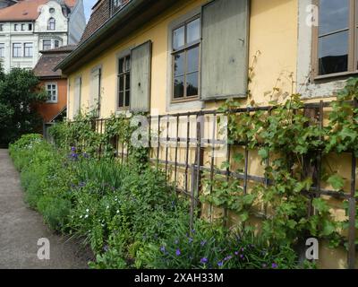 Goethehaus Rückseite Goethehaus, Weimar, Frauenplan, Weimarer Klassik, Thüringen, Johann Wolfgang von Goethe, Carl August von Sachsen-Weimar-Eisenach, Wohnhaus, Goethe-Nationalmuseum, *** Goethe-Haus zurück Goethe-Haus, Weimar, Frauenplan, Weimarer Klassizismus, Thüringen, Johann Wolfgang von Goethe, Carl August von Sachsen Weimar Eisenach, Residence, Goethe-Nationalmuseum, Copyright: xStopperx/xEibner-Pressefotox EP asr Stockfoto