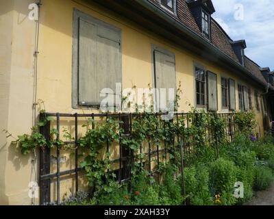 Goethehaus Rückseite in diesem Haus am Frauenplan lebte Johann Wolfgang von Goethe 50 Jahre lang bis zu seinem Tod im Jahre 1832. *** Rückseite des Goethe-Hauses Johann Wolfgang von Goethe lebte in diesem Haus nach dem Frauenplan 50 Jahre bis zu seinem Tod 1832 Urheberrecht: XStopperx/xEibner-Pressefotox EP asr Stockfoto