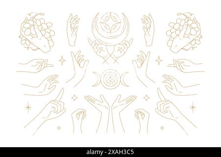 Weibliche Hände Gesten Sammlung von Linienkunst handgezeichnete Stil Vektor-Illustrationen. Feminine Zaubersymbole für geheimnisvolles Emblem und Verpackung oder Cello Stock Vektor
