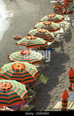 In Monterosso al Mare, Cinque Terre eine einzeilige orange-grüne Sonnenschirme und Sonnenliegen, ein schmaler Strandstreifen in der Nachmittagssonne, Stockfoto