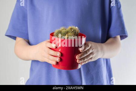 Ein Mädchen in einem violetten T-Shirt hält einen roten Topf mit einem Kakteen in der Hand. Das Konzept von Schmerz und Koliken im Magen und Darm bei Kindern. Stockfoto